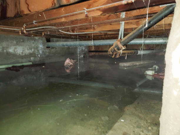Best Sewage cleanup and water damage restoration  in Whitesboro, NY